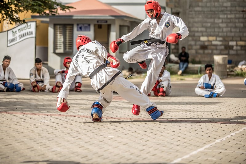 Jiu-Jitsu Image 2